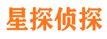 卢氏市调查公司